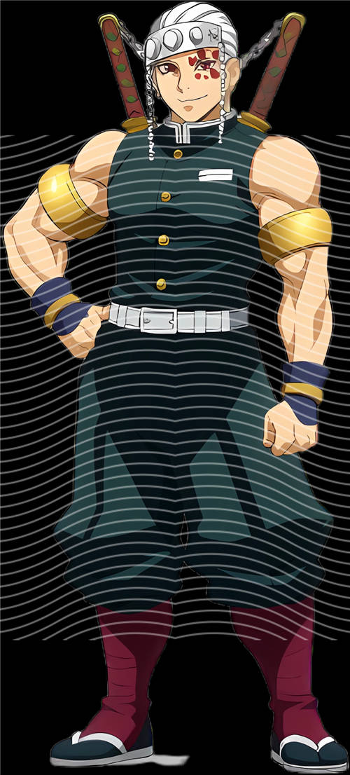 Animation design-RB 1773